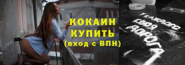 МДПВ Протвино
