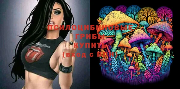 Альфа ПВП Приозерск