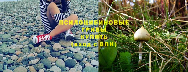 тгк Покачи