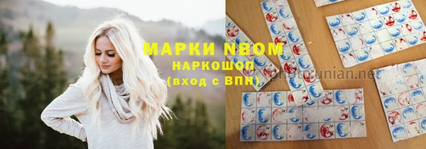 МДПВ Протвино