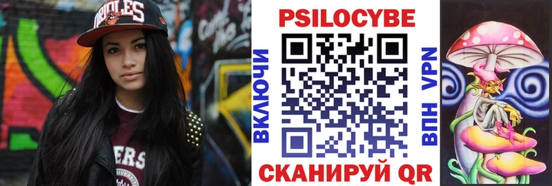 Купить закладки  Заозёрный  Псилоцибиновые грибы GOLDEN TEACHER 